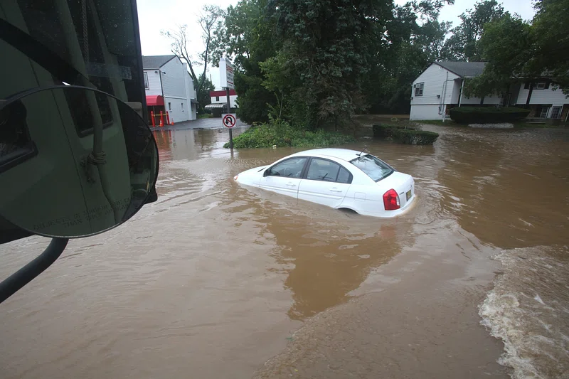 The Flood, by Matthew P.